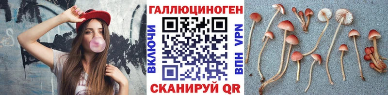 Галлюциногенные грибы Magic Shrooms  Алдан 